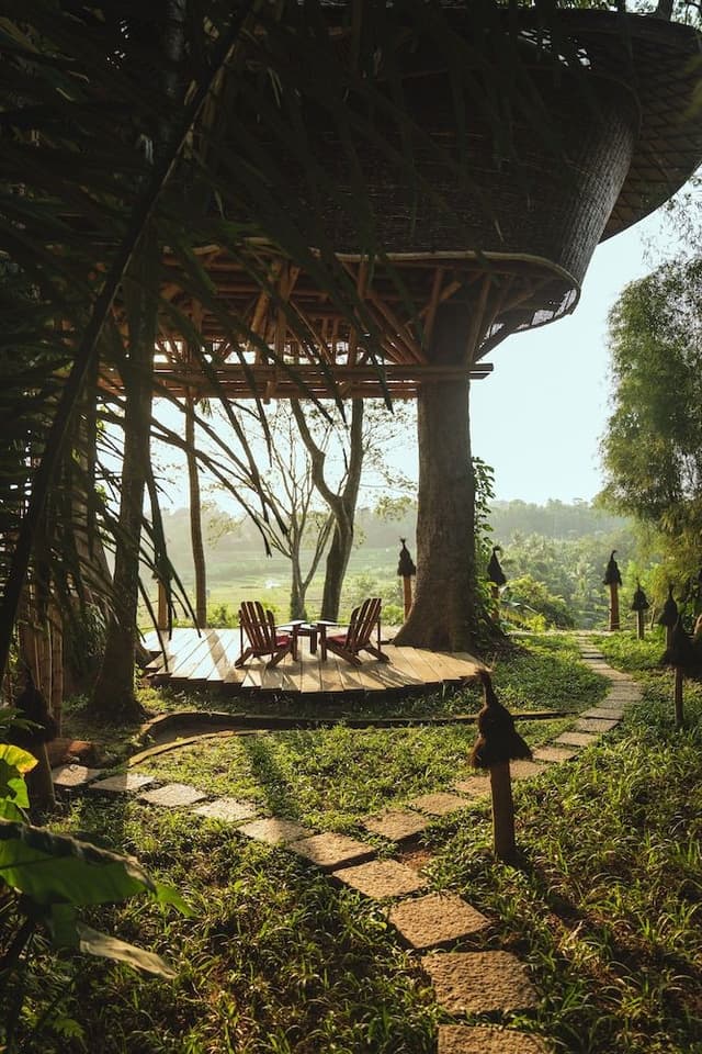 Tree House - One Bedroom Valley View