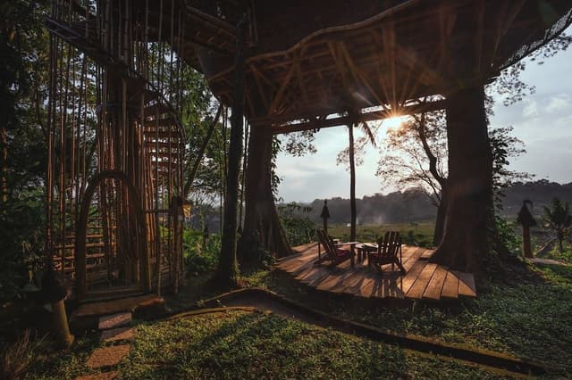 Tree House - One Bedroom Valley View