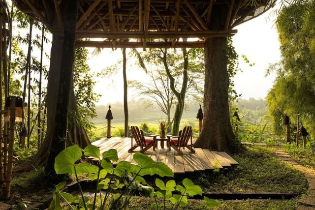 Tree House - One Bedroom Valley View