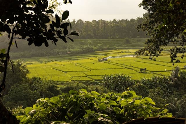 Pawon House - One Bedroom Suite Valley View