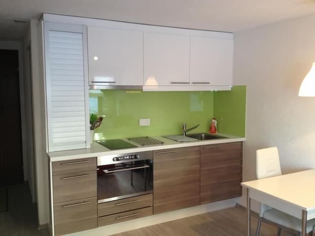 Studio (Cleaning fee 80CHF)