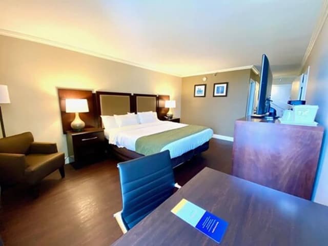 Standard Room, 1 King Bed, Non Smoking, City View