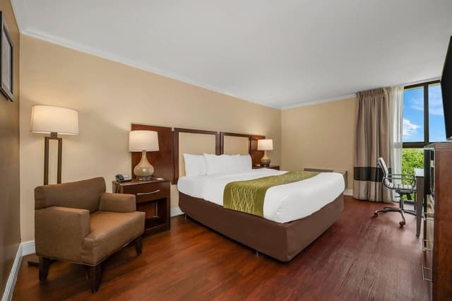 Standard Room, 1 King Bed, Non Smoking, Ocean View
