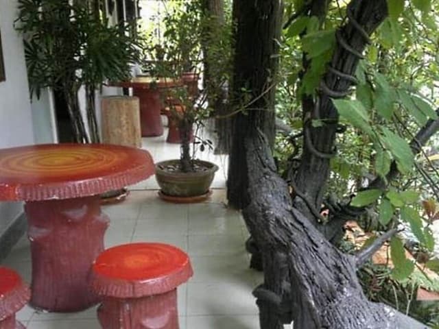 Double Room with Balcony