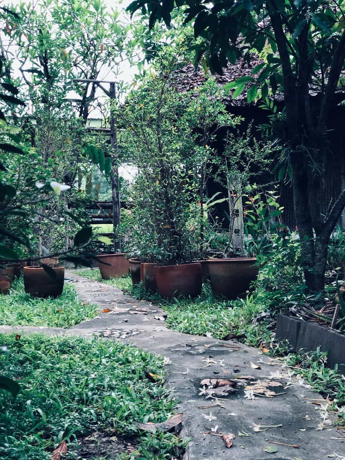 โรงแรมคุณนายตื่นสาย โรงแรมคุณนายตื่นสาย