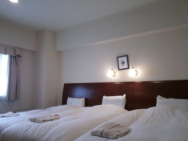 Deluxe Twin Room, Multiple Beds, Non Smoking (2 Single Beds plus 1 Extra Bed)