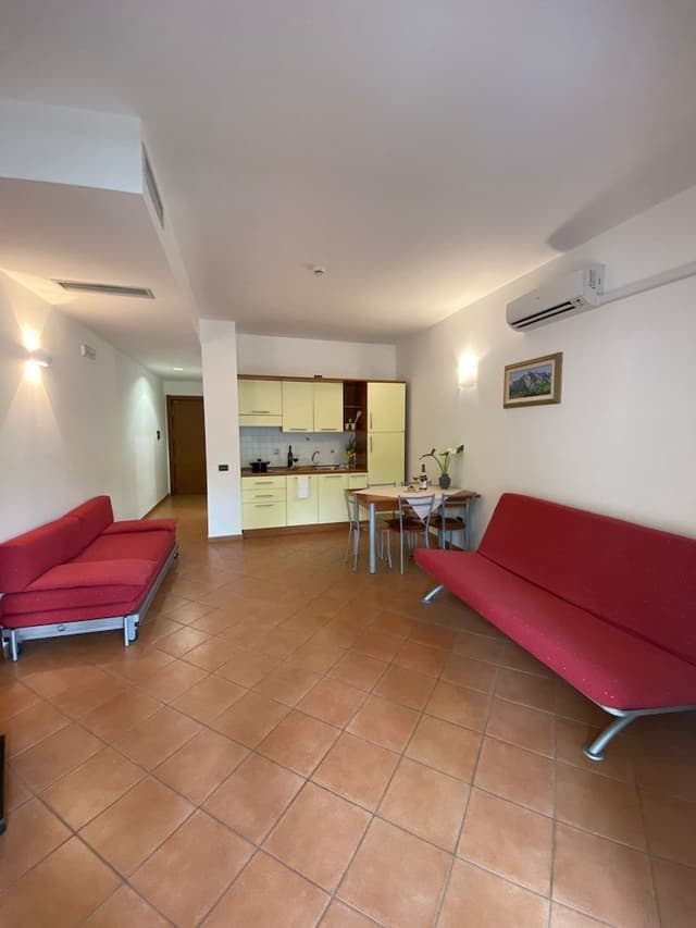 Basic Apartment, 1 Bedroom, Terrace