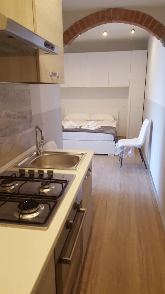 Basic Studio, 1 Queen Bed, Non Smoking, Kitchen (12)
