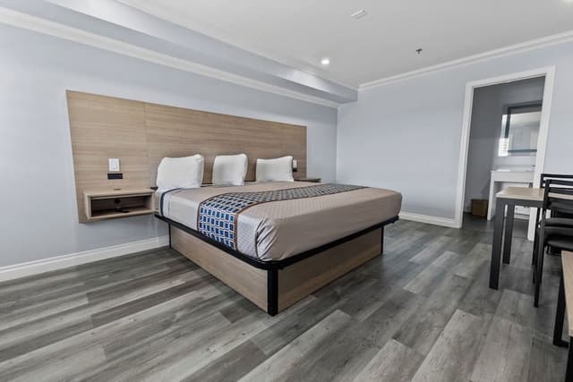 Room, 1 King Bed