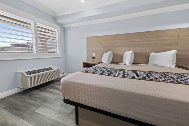 Room, 1 King Bed