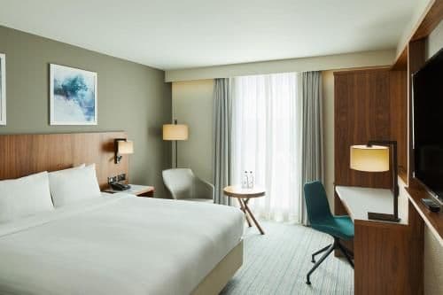 Guest room, 1 King