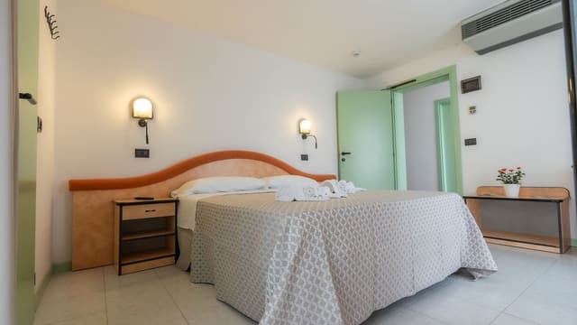 Basic Double or Twin Room