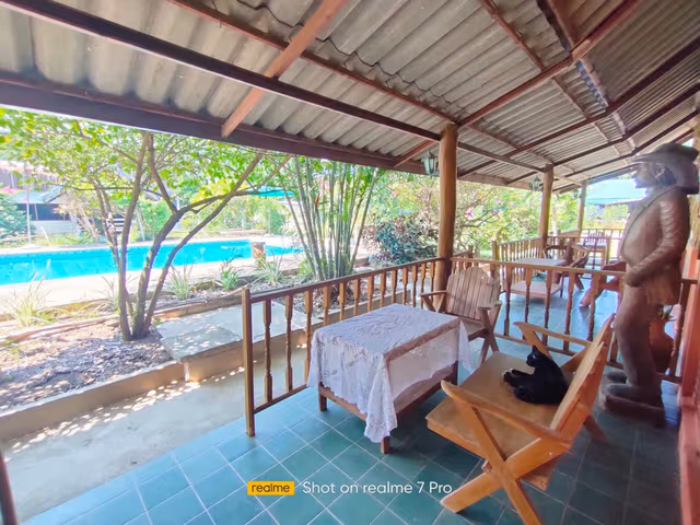 Pool View Room - Twin Beds