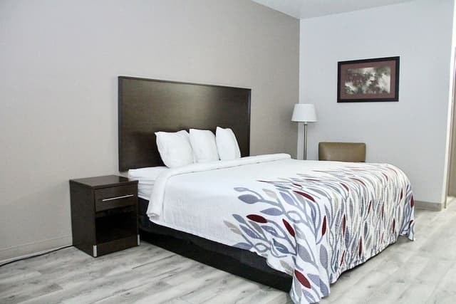 Superior Room, 1 King Bed, Non Smoking