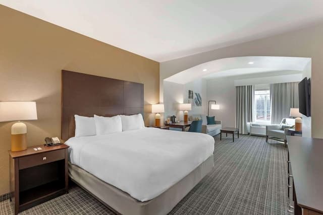 Standard Room, 1 King Bed with Sofa bed, Non Smoking