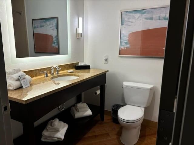 Room, 1 King Bed, Accessible, Non Smoking (Accessible Tub)
