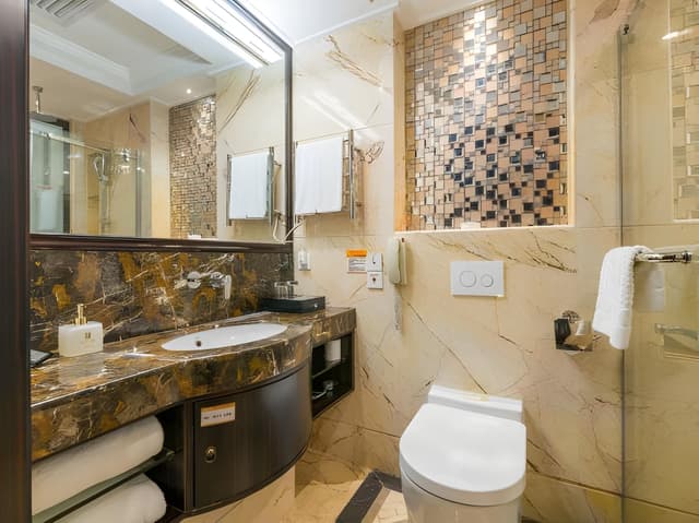 Deluxe Business Double Room