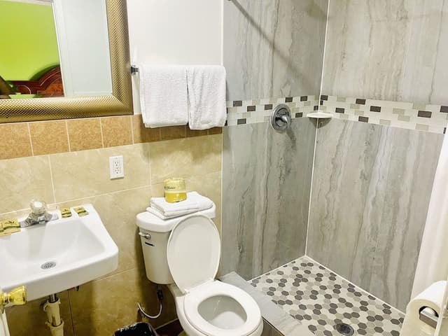 Basic Single Room, 1 King Bed
