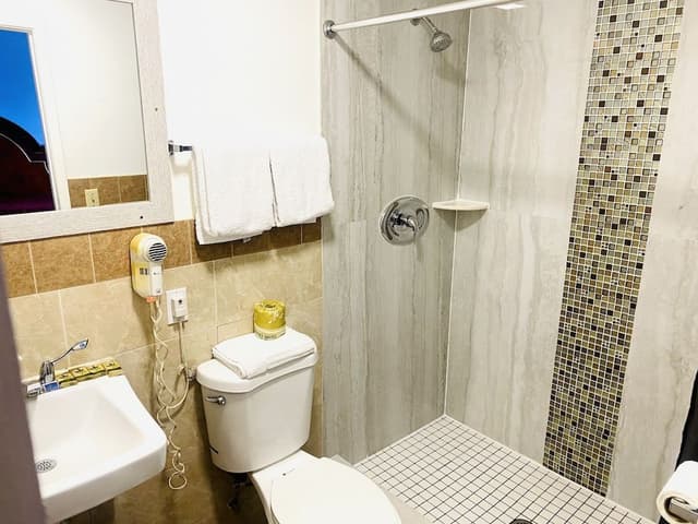 Basic Single Room, 1 King Bed