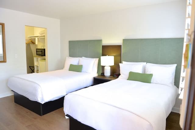 Standard Double Room, Refrigerator & Microwave