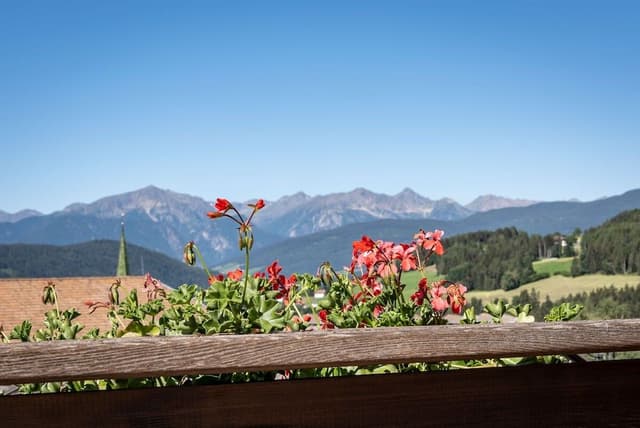 Double Room, 1 Bedroom, Balcony, Mountain View