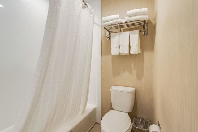 Deluxe Room, 1 King Bed with Sofa bed, Pool View