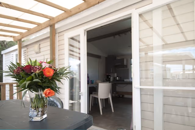 Deluxe Mobile Home, 3 Bedrooms (Alizee)