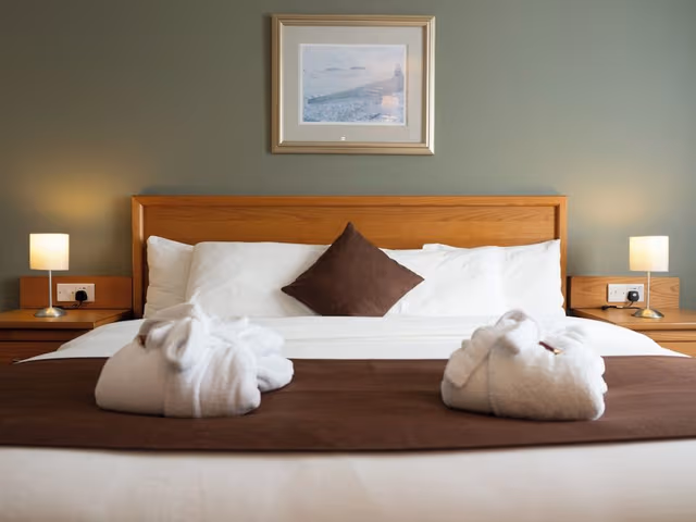 King Suite, 1 King Bed & Lounge with Sofa Bed