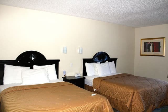 Standard Room, 2 Queen Beds