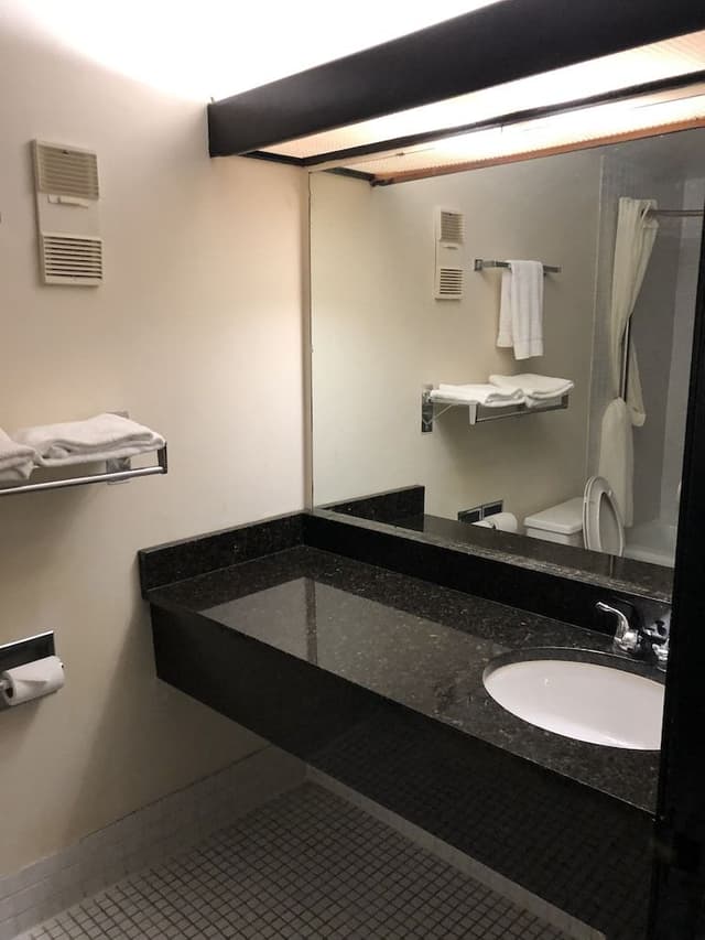 Deluxe Room, 1 King Bed