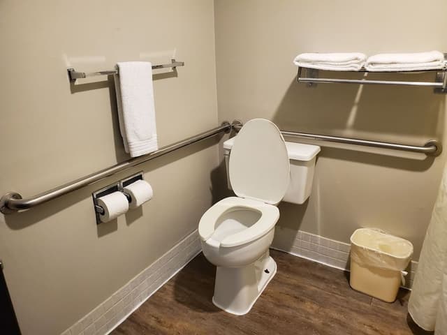 Room, 1 Queen Bed, Accessible