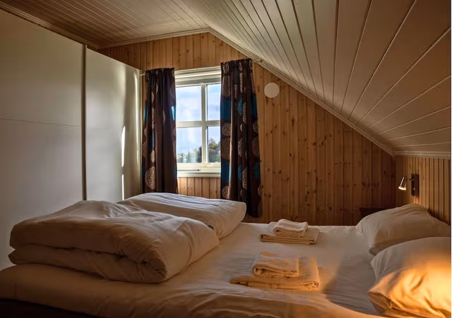 Rorbusuite XXL+
