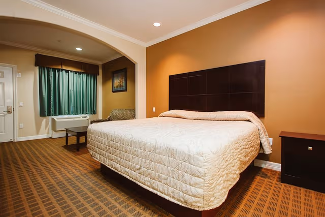 Room, 1 King Bed, Non Smoking