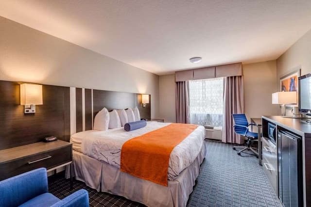Premium Room, 1 King Bed