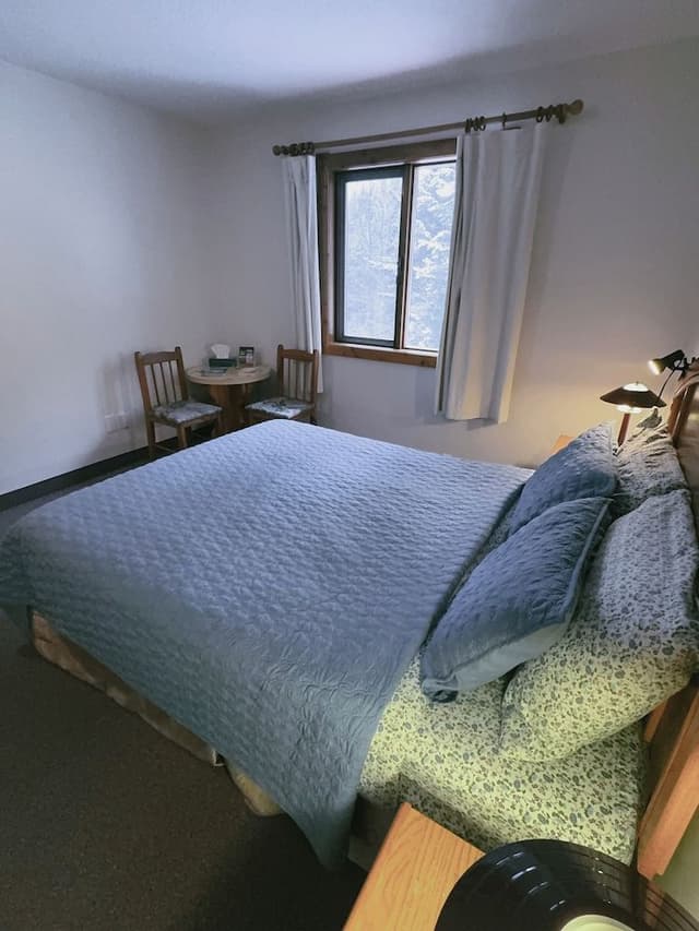 Comfort Room, 1 Queen Bed