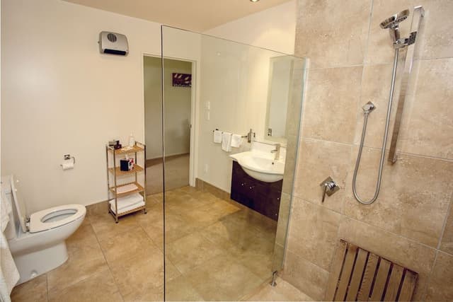 Premium Studio Suite, 1 King Bed, Non Smoking, Mountain View