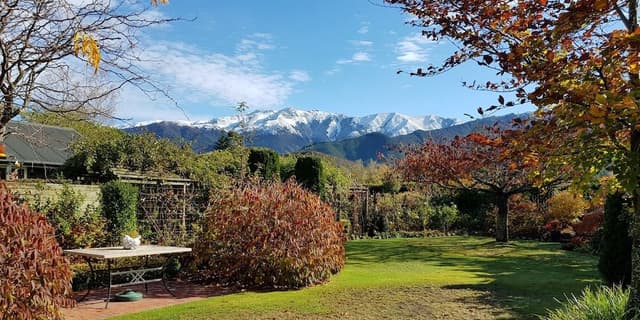 Premium Studio Suite, 1 King Bed, Non Smoking, Mountain View (Mt Dunblane self cater)