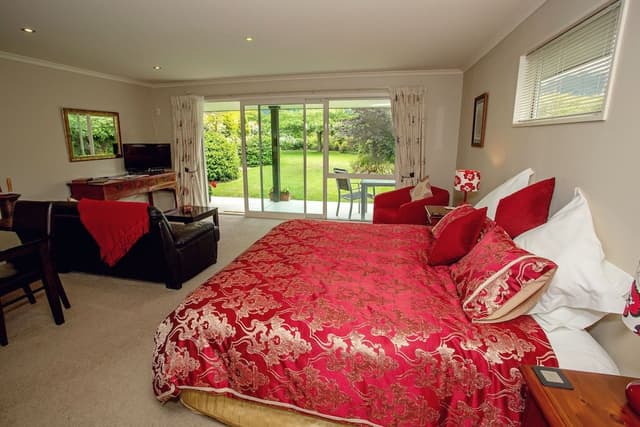 Premium Studio Suite, 1 King Bed, Non Smoking, Mountain View