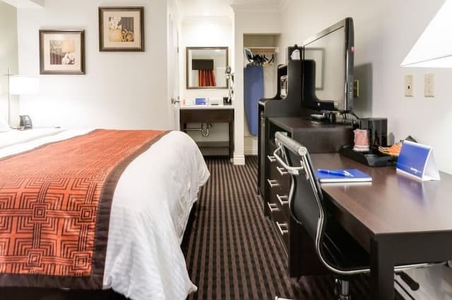 Classic Single Room