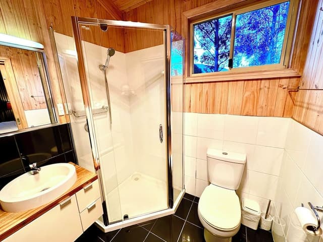 Superior Cabin
