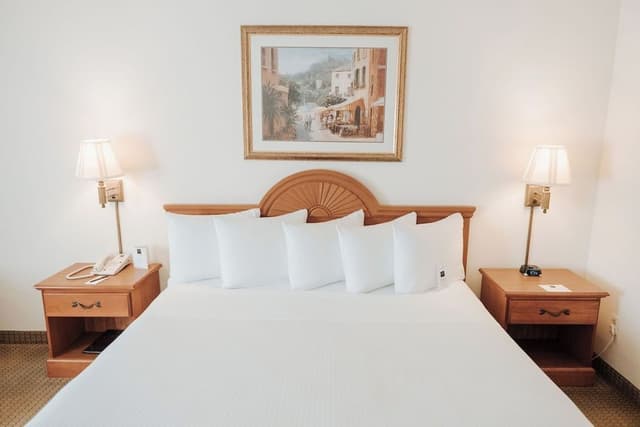 Standard Room, 1 King Bed, Jetted Tub