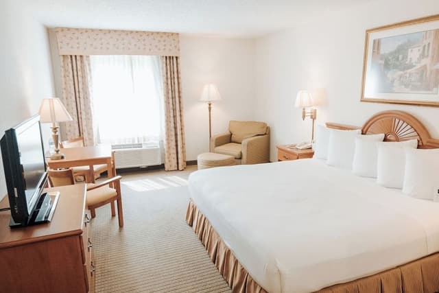 Standard Room, 1 King Bed, Jetted Tub