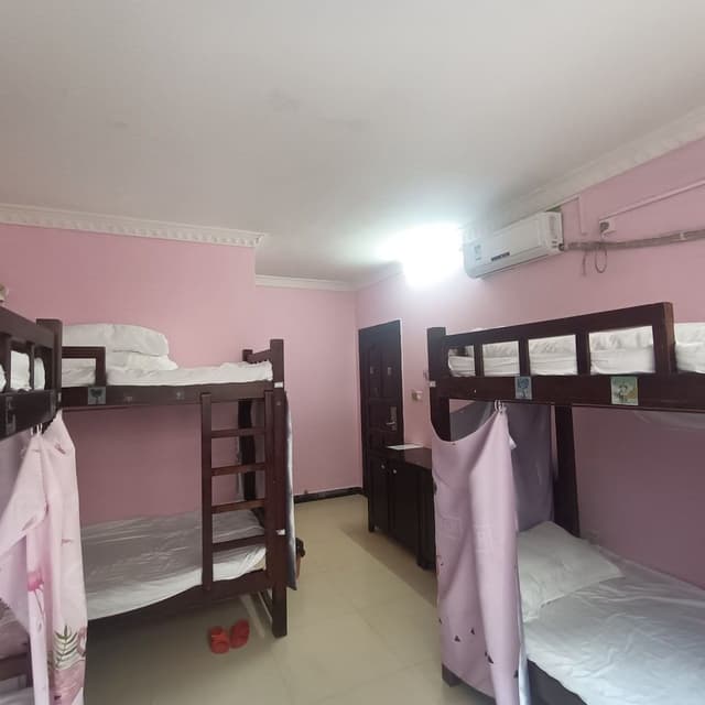 Bed in 6-bed Female Dormitory Room