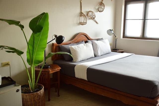Deluxe Room, 1 Bedroom