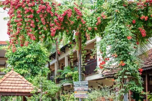 Bao Quynh Bungalow Bao Quynh Bungalow