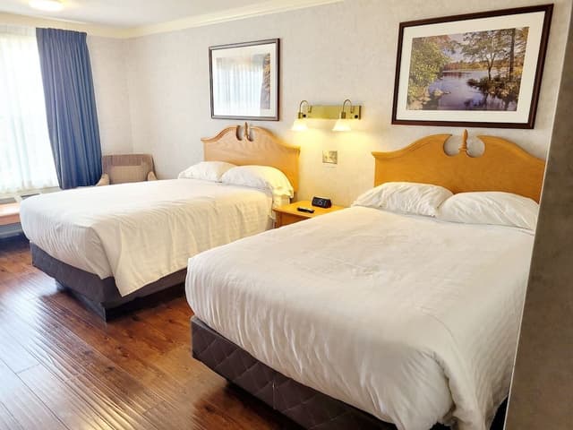 Standard Double Room, 2 Double Beds