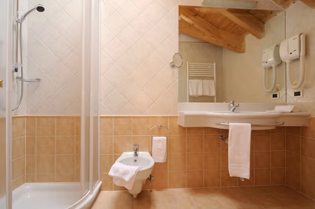 Basic Single Room, 1 Large Twin Bed