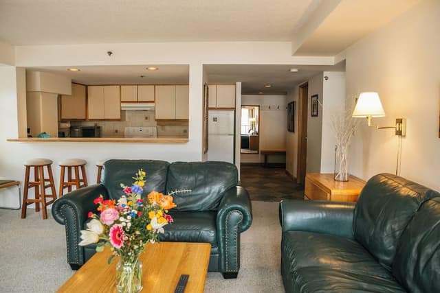 Suite 305, Two Bedrooms, Bronze