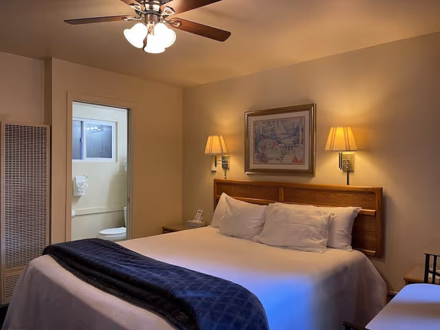 Standard Room, King