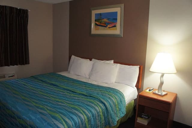 Standard Room, 1 King Bed, Non Smoking